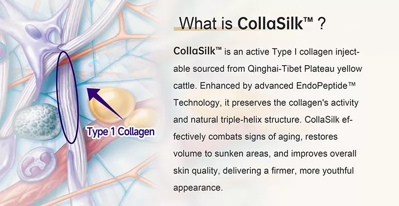 CollaSilk™ Type 1 Bovine Collagen Filler - 4